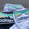 patagonialogotee4- patagonialogotee4-