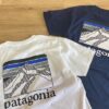 patagoniateepatagoniavintagereprint6-