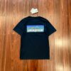 Patagonia 經典款透氣快乾短袖Tee 317