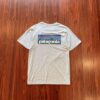 Patagonia 經典款透氣快乾短袖Tee 318