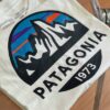 Patagonia 1973 經典短袖Tee27ptg034-1080custom.png6
