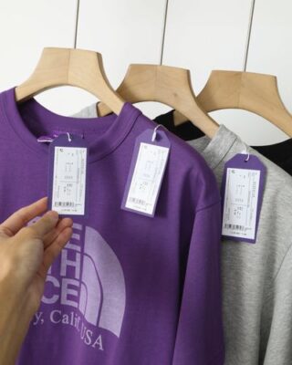 北面經典 Logo 短袖 PALACE 三角標誌聯名上衣